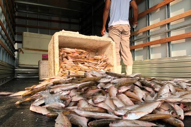 Com 4 novas notificações, Amazonas já registra 54 casos de rabdomiólise em nove cidades