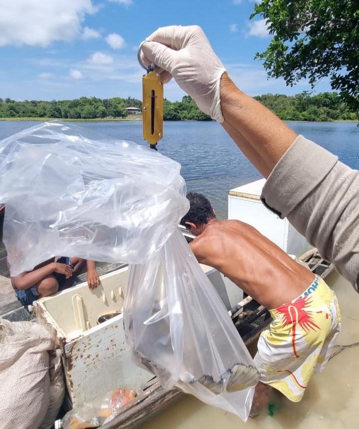 Parintins tem 23 casos notificados de 'urina preta'; 14 só esta semana