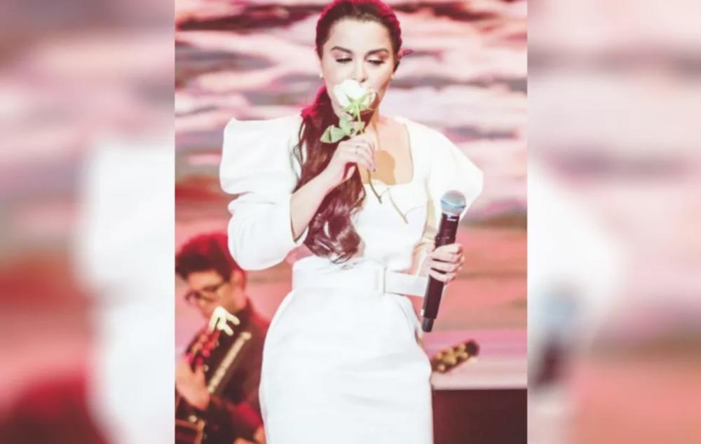 Avião com cantora Maiara bate em pássaro ao decolar e faz pouso de emergência em Florianópolis