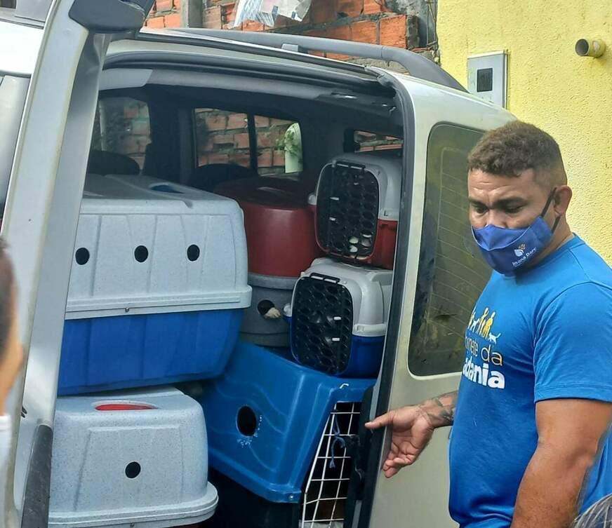 Mais de 70 animais vítimas de maus-tratos são resgatados em Manaus