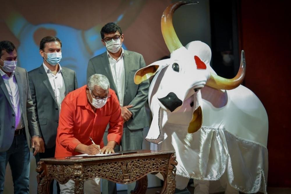 Boi Garantido celebra o anúncio da data do Festival de Parintins 2022