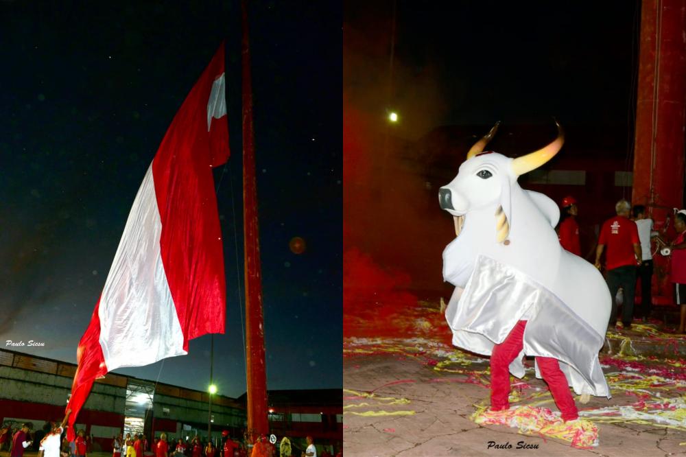 'Semana Vermelha e Branca' inicia com hasteamento do Pavilhão do Boi Garantido