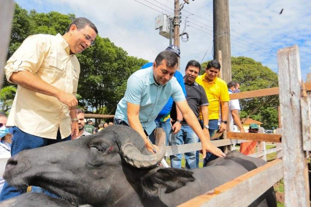 Feira agropecuária marca retomada da pecuária bubalina em Parintins
