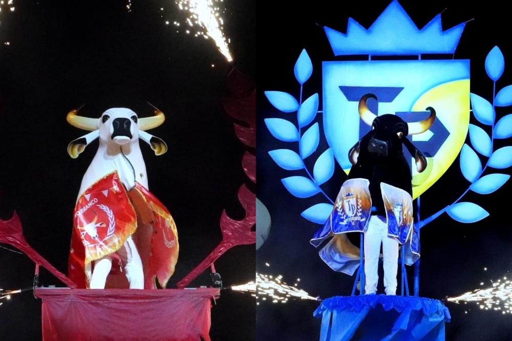 Touro Branco e Touro Preto exaltam os ritos e a resistência cultural durante o Festival de Barreirinha 2022