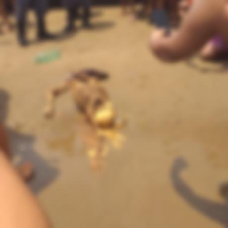 Banhistas encontram ossada humana dentro de rio na Praia da Ponta Negra, em Manaus
