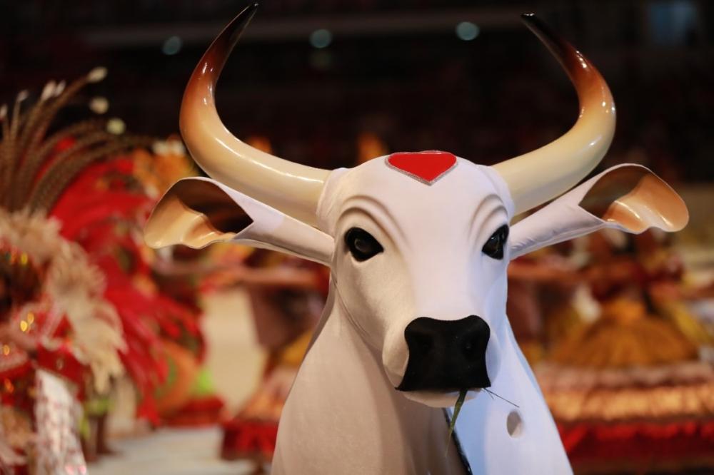 Governo do Amazonas garante realização do Festival de Parintins após polêmica envolvendo o Boi Garantido