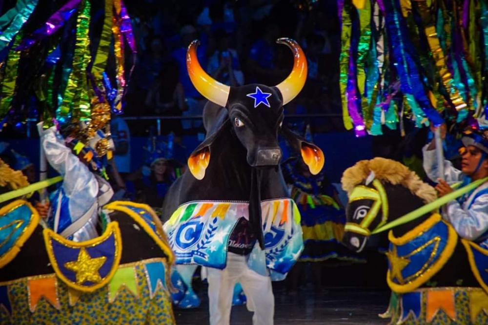 Boi Caprichoso revoluciona Festival de Parintins conquistando quatro títulos em cinco anos