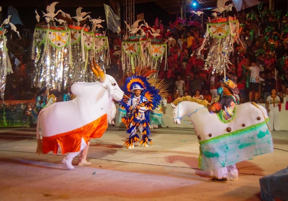 Com o tema 'O rio comanda a vida' Touro Branco abre a disputa dos bumbás no Festival do Mocambo