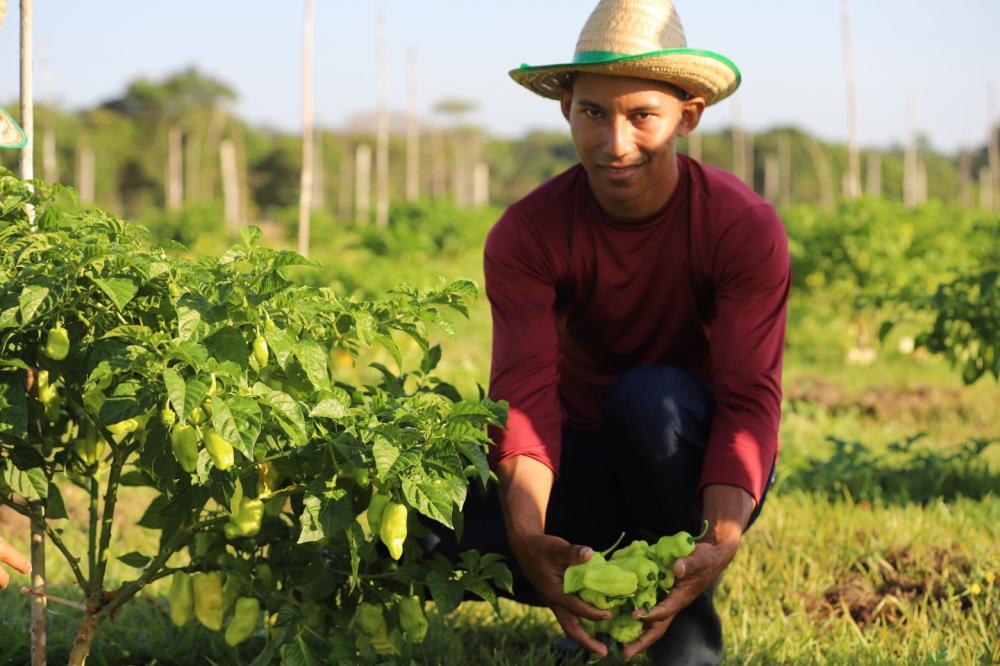 Governador Wilson Lima anuncia edital com R$ 8,5 milhões para agricultura familiar no Amazonas