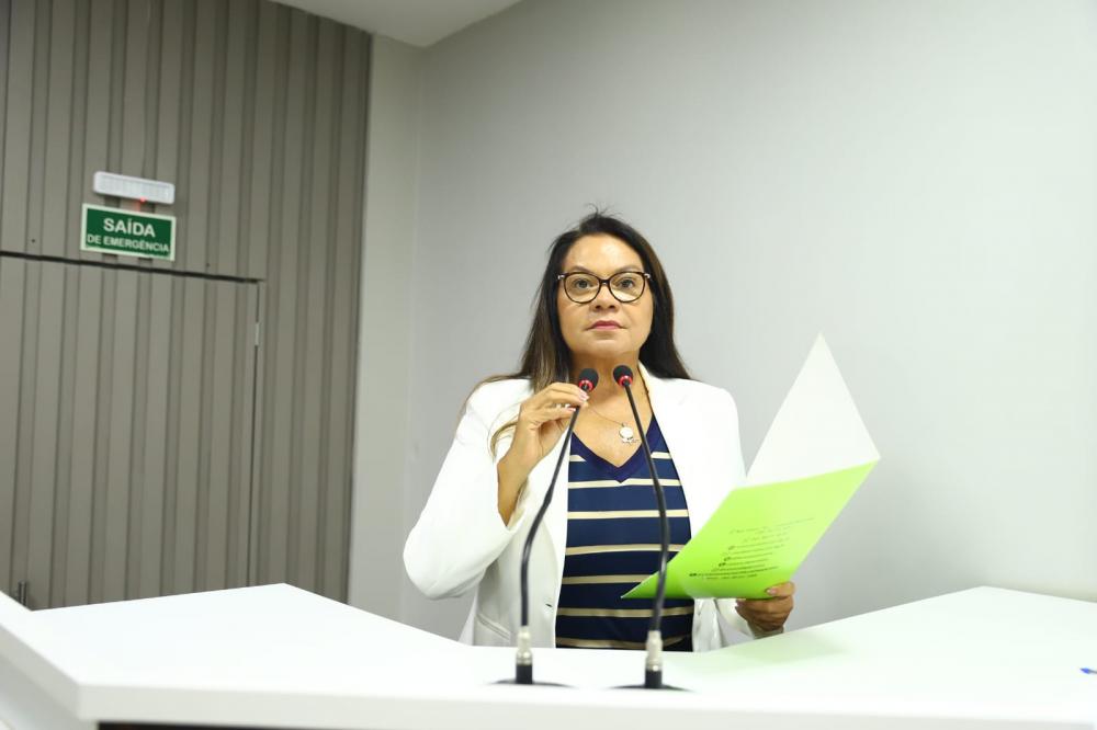 PL de Márcia Baranda propõe programa de incentivo ao empreendedorismo da mulher em Parintins