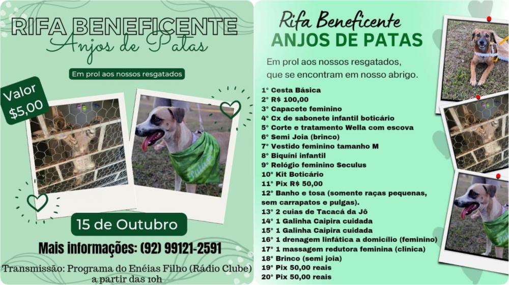 Rifa Solidária do Grupo Anjos de Patas será neste domingo, dia 15 