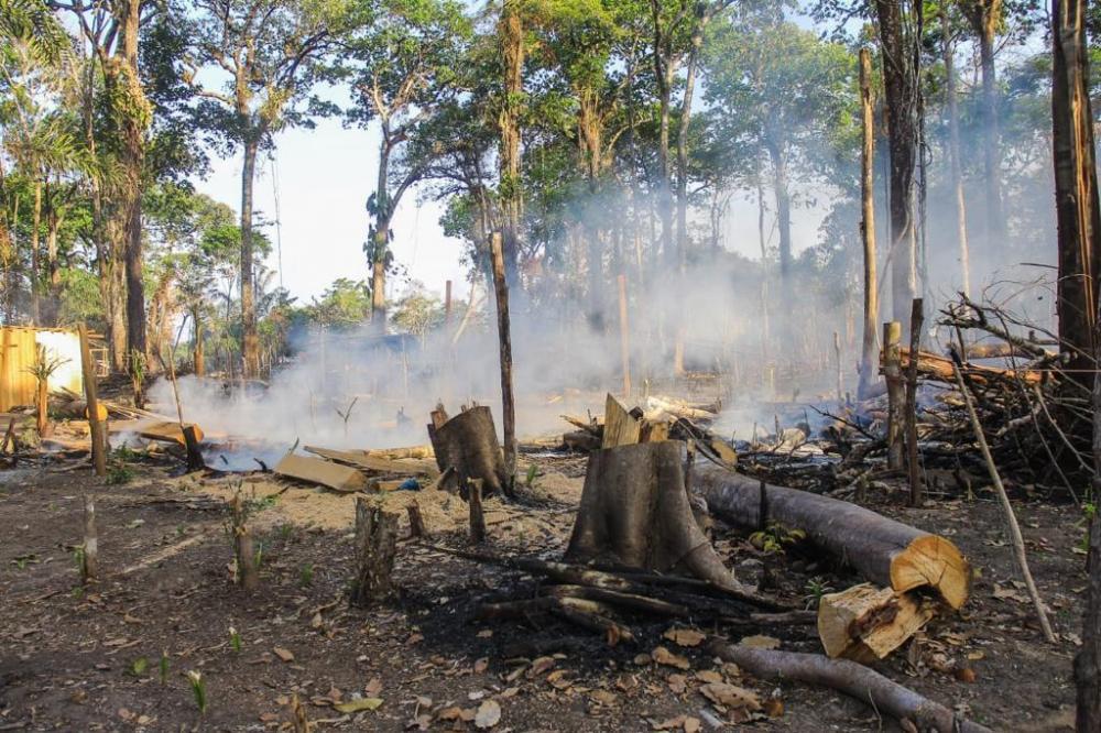 Sedema e Brigadistas intensificam esforços contra incêndios e apelam para a consciência da população