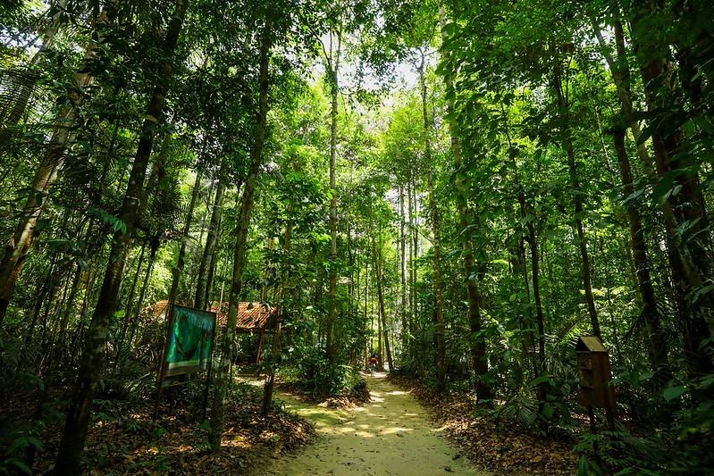 Em 2023, Governo do Amazonas captou mais de R$ 76 milhões para investir na gestão ambiental