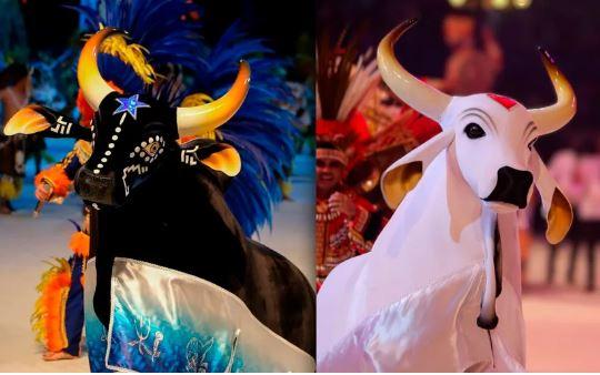 TV Globo vai transmitir 57° Festival Folclórico de Parintins, anuncia Governo do Amazonas