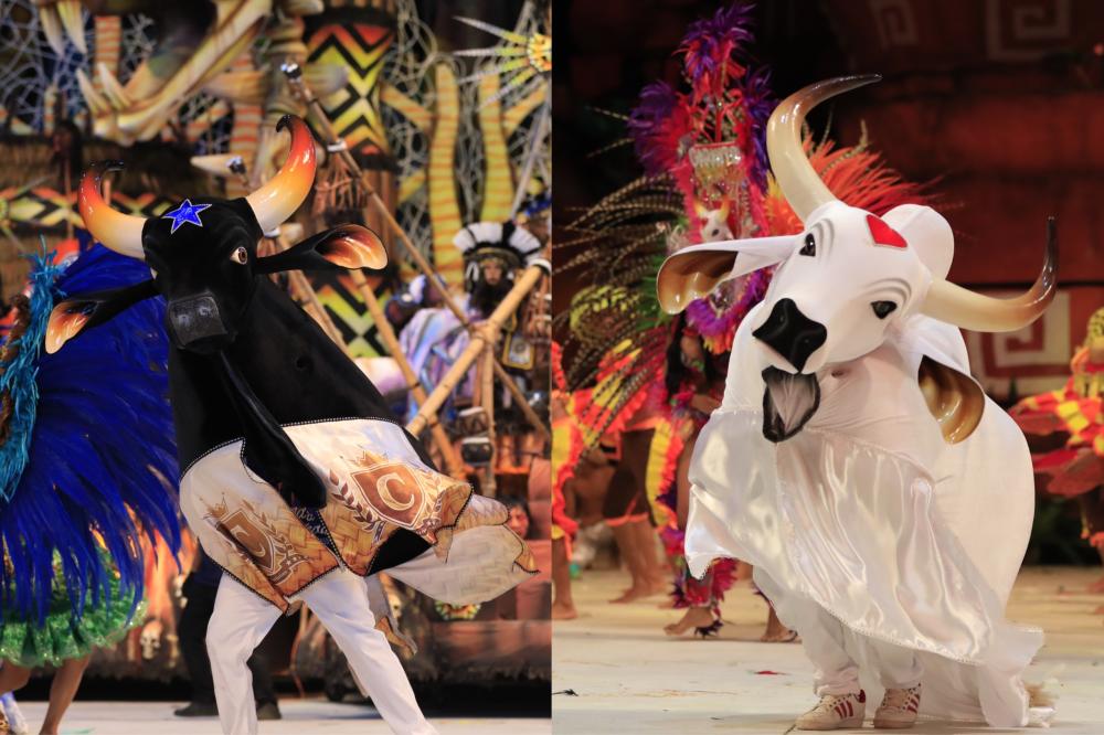 Caprichoso e Garantido participam pela primeira vez do ‘São João da Thay’, no Maranhão