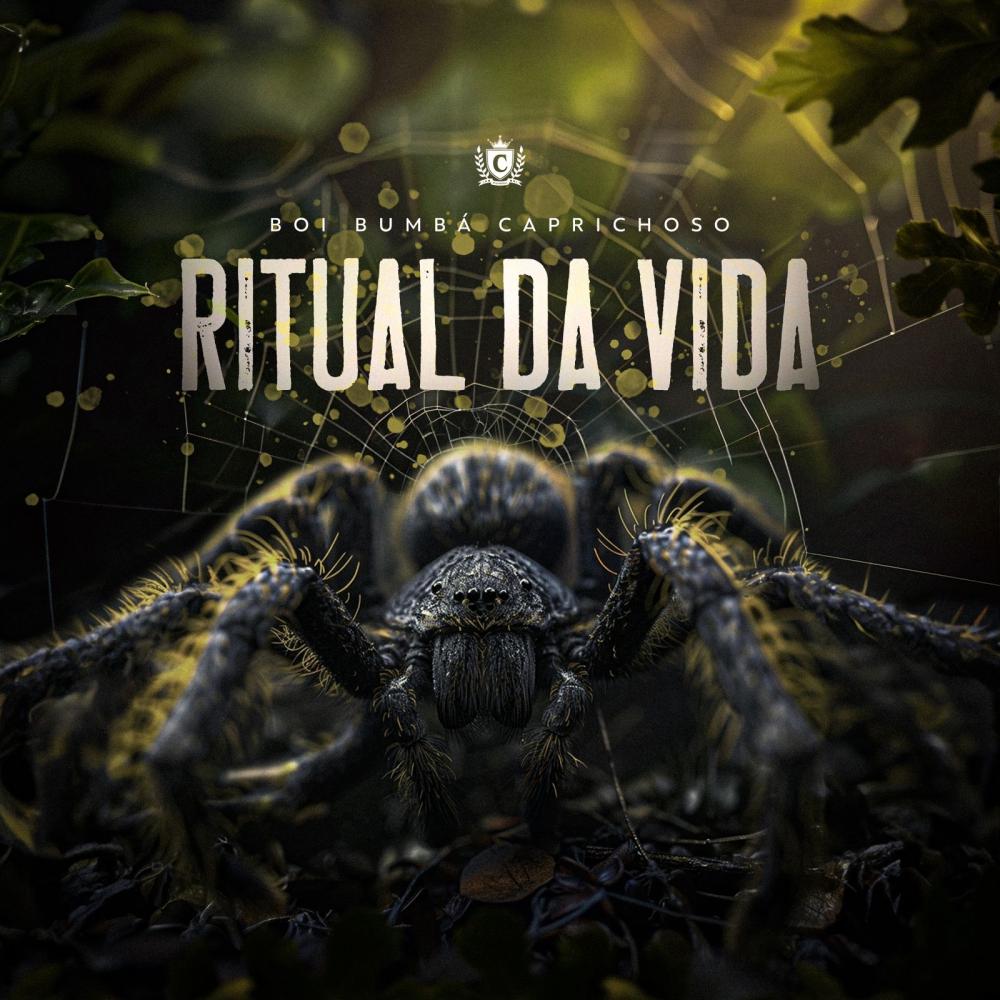 Ritual da Vida (2024) é a nova aposta do Boi Caprichoso para momento especial no Festival de Parintins