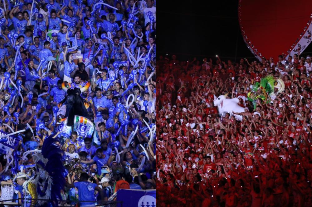 Crianças menores de 10 anos não poderão acessar arquibancadas de Galera no Bumbódromo