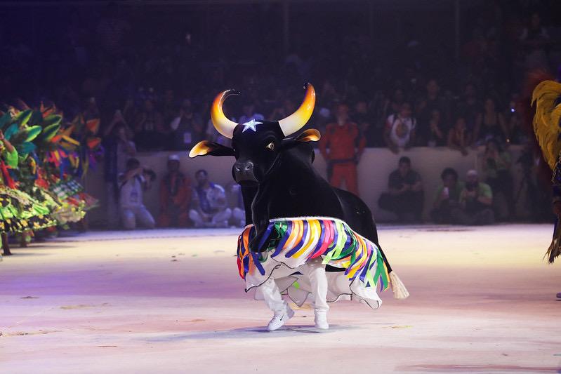 Boi Caprichoso abre primeira noite do Festival de Parintins 2024 e empolga o público