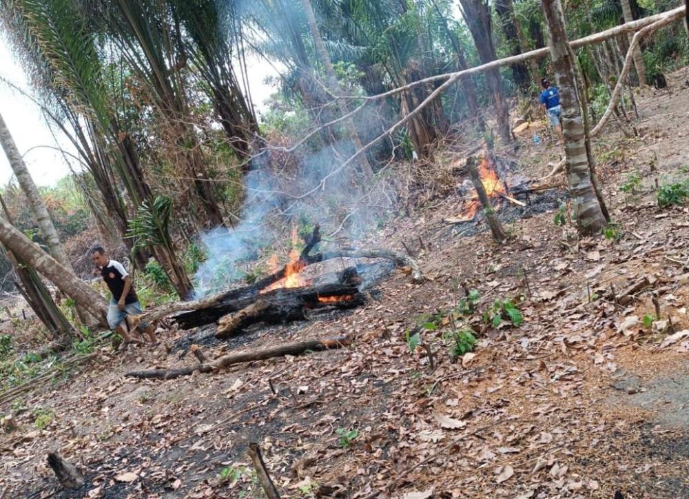 Sedema alerta sobre as queimadas e trabalha a prevenção em Parintins