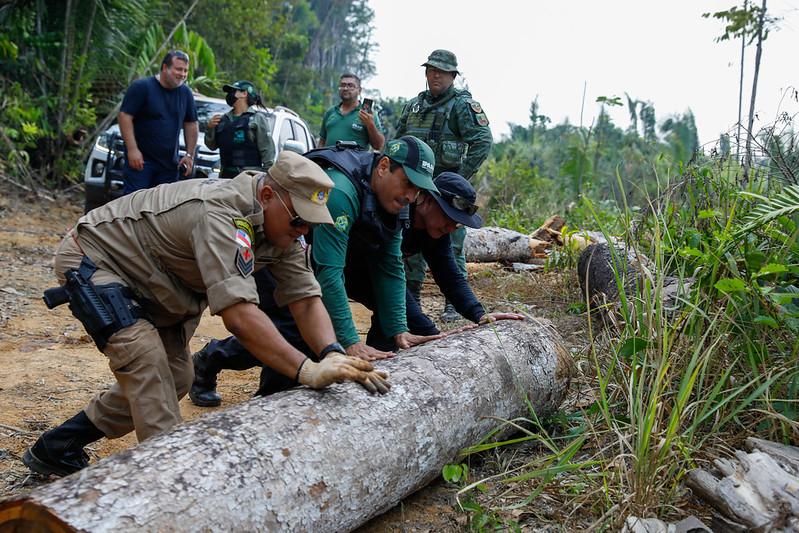Órgãos ambientais aplicaram cerca R$ 92 milhões em multas no sul do Amazonas em menos de quatro meses