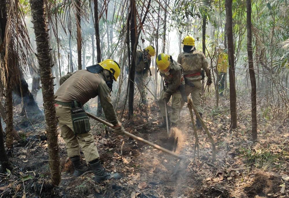 Em setembro, Corpo de Bombeiro combateu mais de 6,6 mil focos de incêndio no Amazonas