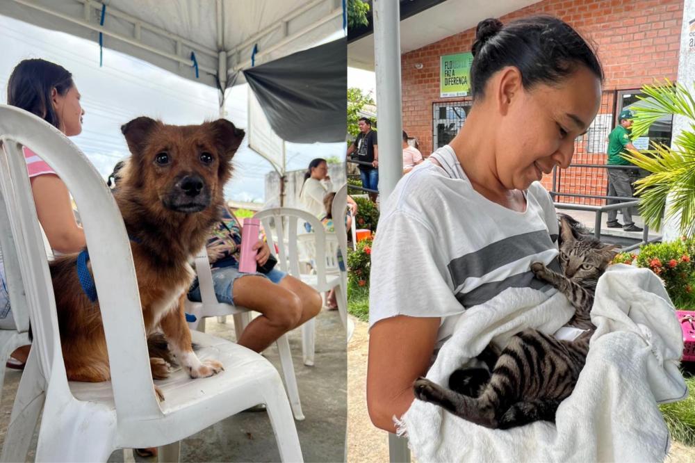 Vereador Alex Garcia destina mais de R$ 42 mil para vacinação e castração de cães e gatos em Parintins
