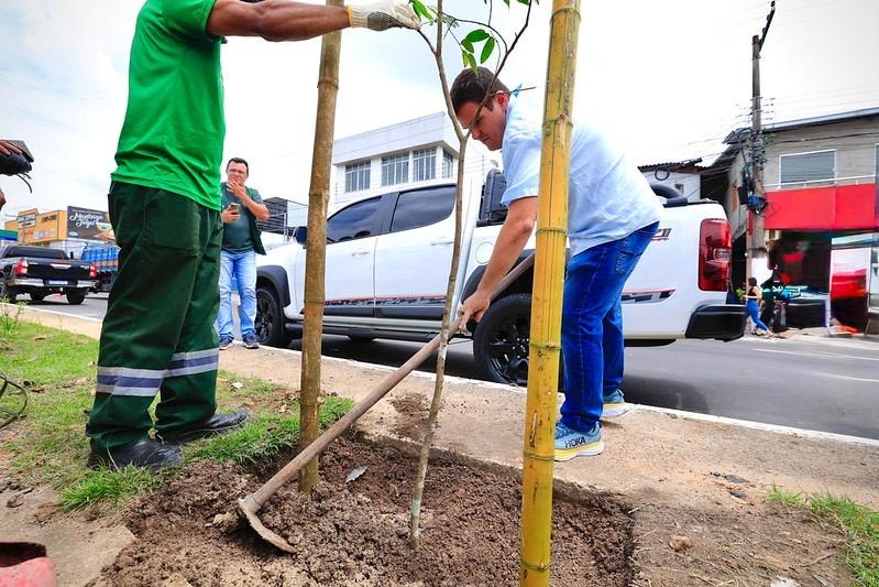 Prefeitura vai plantar 15 mil mudas em 50 espaços públicos em 2025 pelo programa Manaus Verde