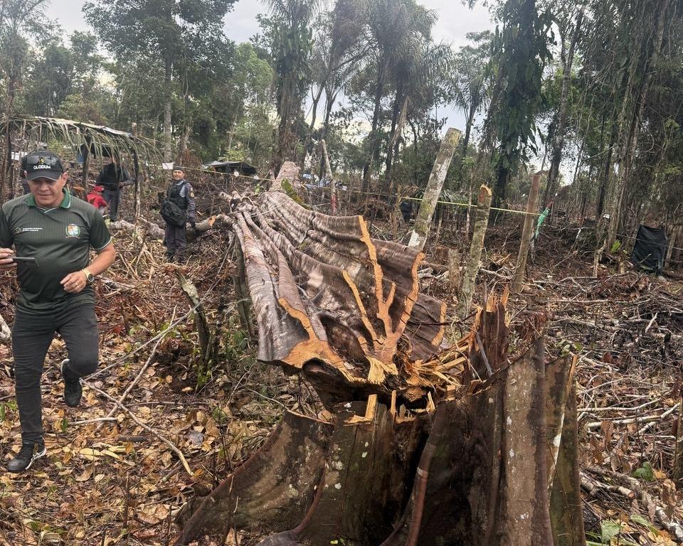 PM prende cinco homens por desmatamento e queimada ilegal em Parintins