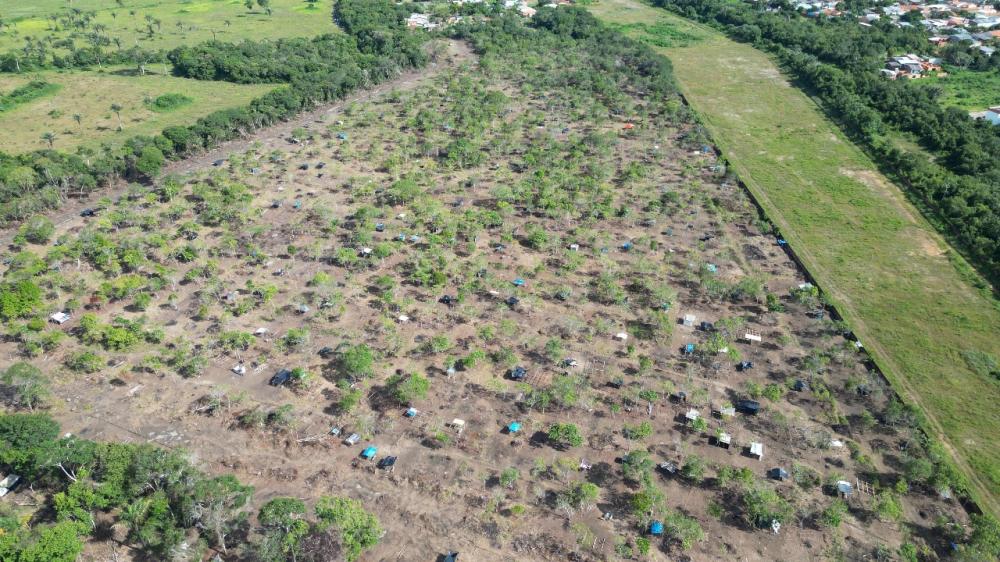 Para conter indústria da invasão, Reintegração de Posse é cumprida em áreas ocupadas de Parintins