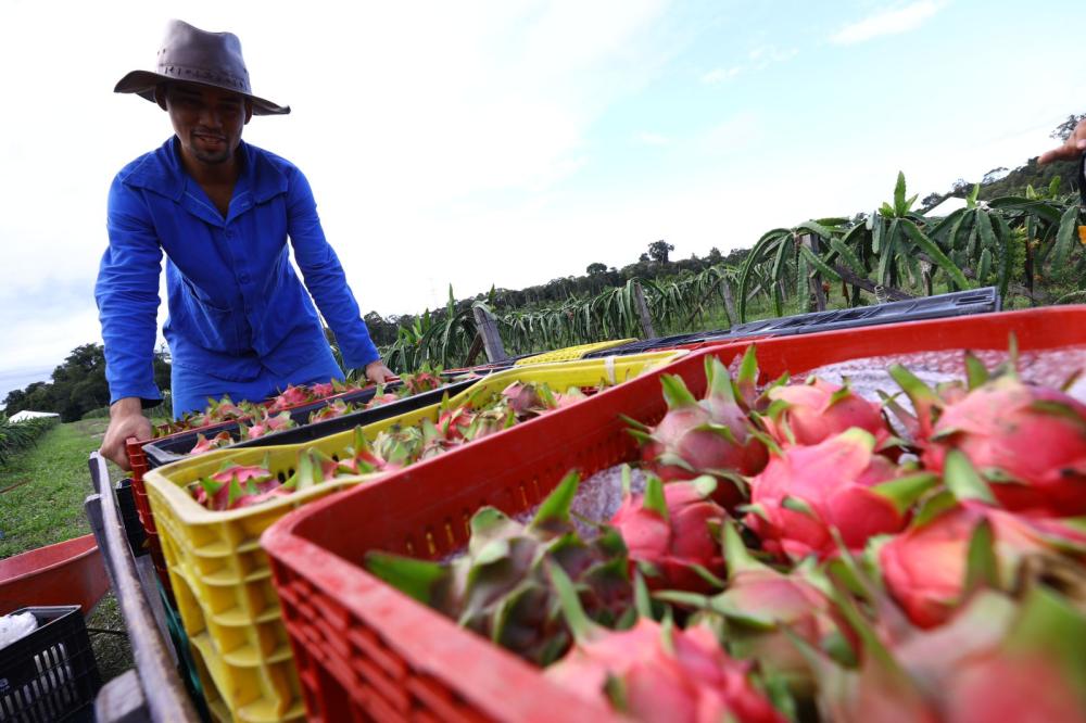 Bioeconomia no Amazonas se destaca como alternativa para um futuro sustentável