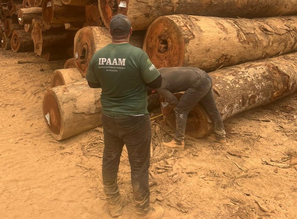 Período do Defeso Florestal chega ao fim hoje (15) no Amazonas