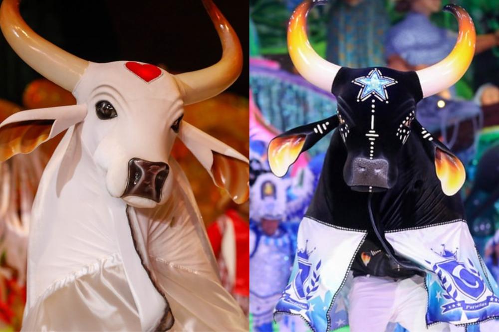 Governo do Amazonas realiza repasse de R 10 milhões aos bumbás Caprichoso e Garantido