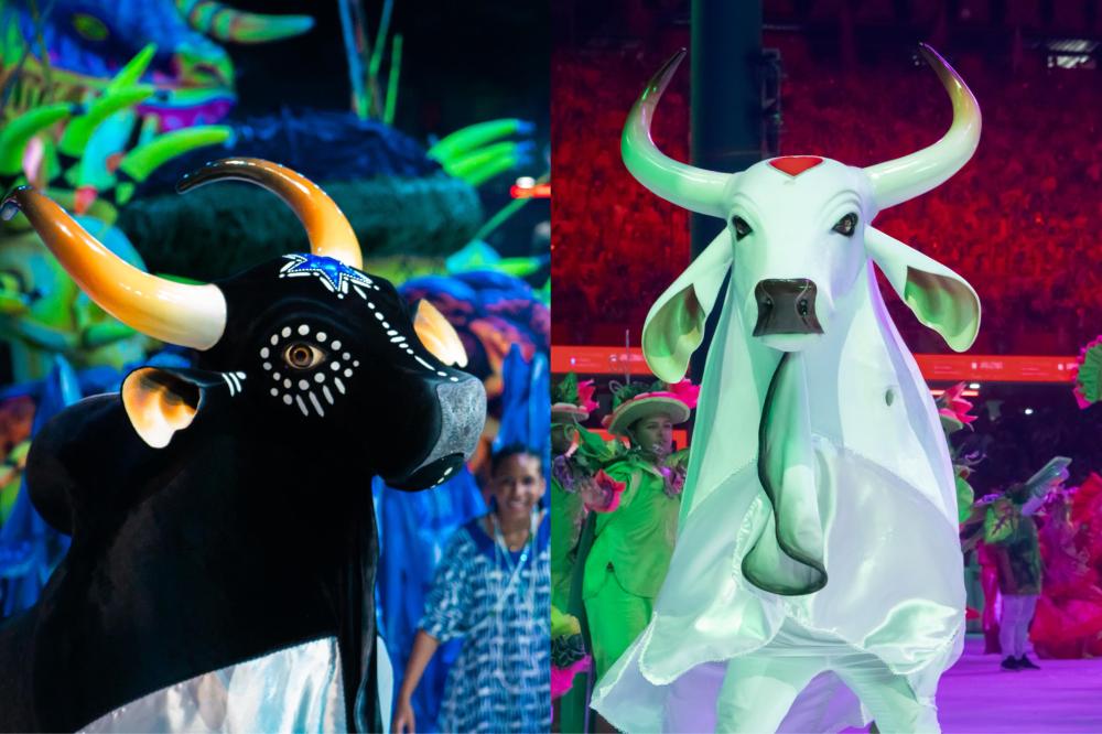 Festival de Parintins 2025 registra recorde de público, com mais de 120 mil visitantes