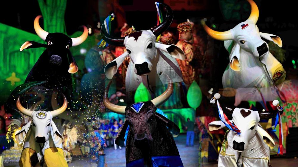 Bois-bumbás de Manaus encerram a programação do Festival Folclórico do Amazonas no Sambódromo