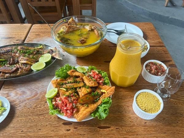 Projeto de lei da vereadora Márcia Baranda visa oficializar Festival Gastronômico em Parintins