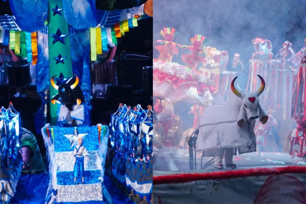 Bois em Miniatura de Parintins preparam espetáculo para a disputa de 2025