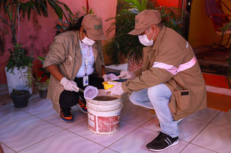 Manaus tem médio risco para doenças transmitidas pelo Aedes aegypti