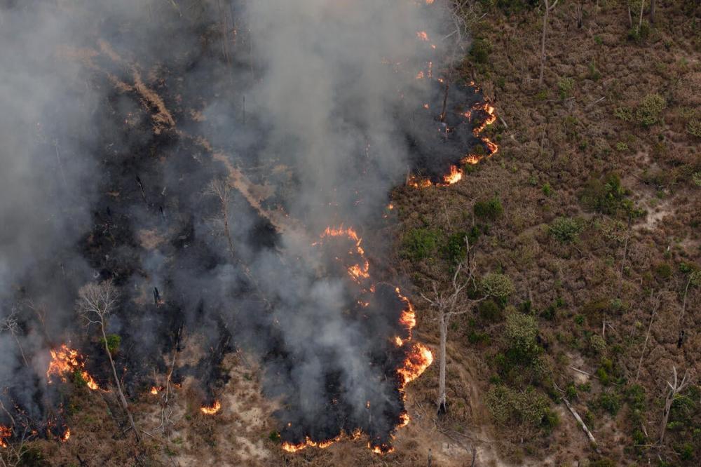 Defensoria Pública monitora a situação das queimadas no Amazonas