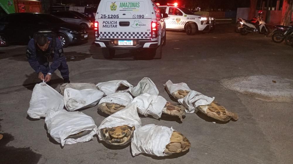 Polícia Militar apreende nova carga ilegal de tartarugas da Amazônia