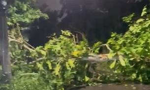 Temporal derruba energia em vários bairros de Manaus