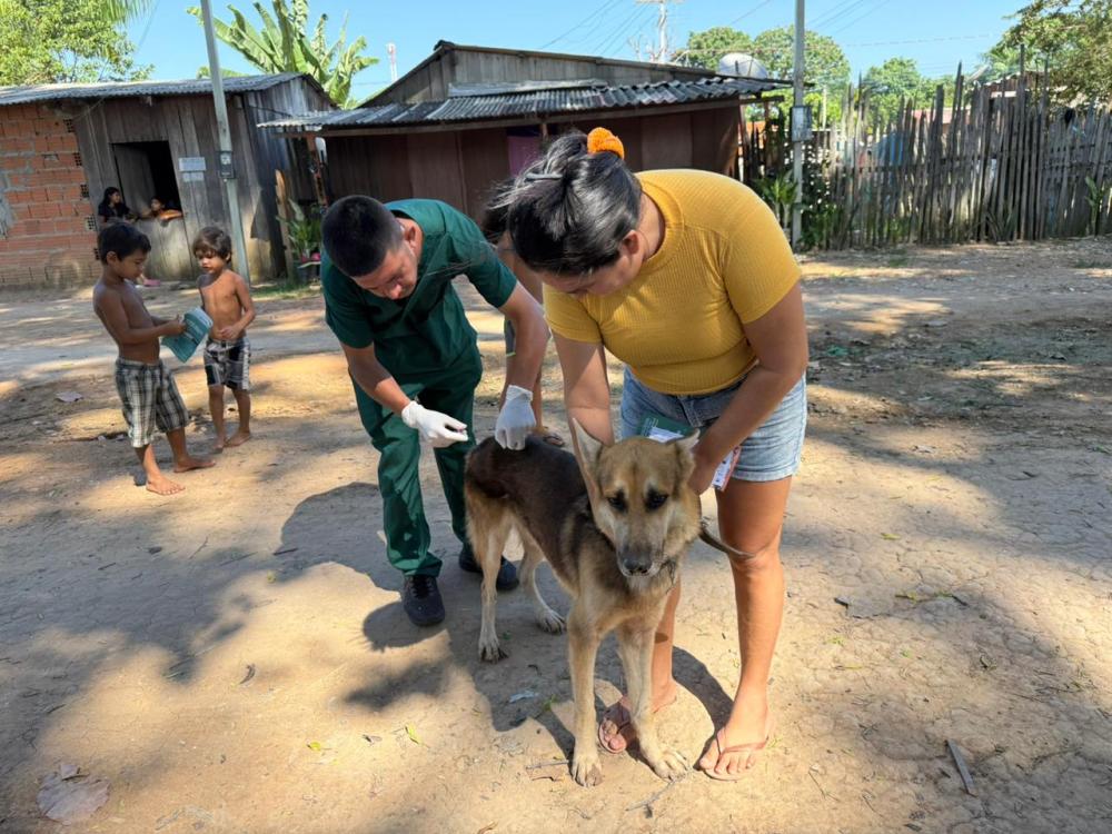 Ação no Castanhal encerra semana de combate aos maus tratos de animais em Parintins