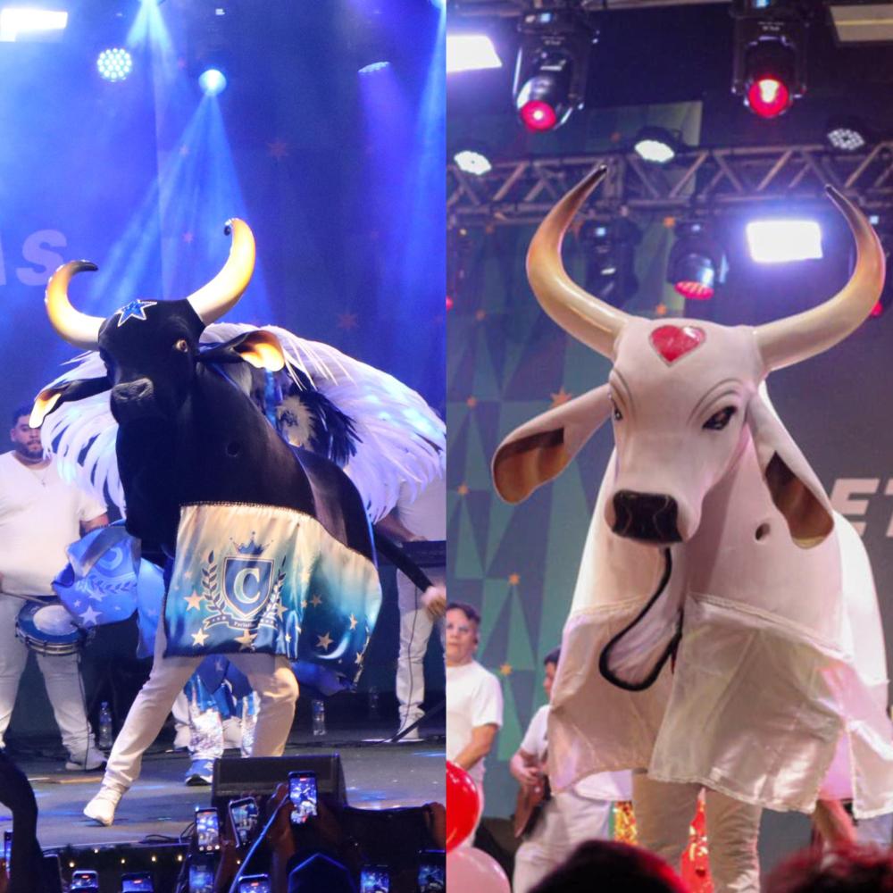 Caprichoso e Garantido levam a força do Festival de Parintins à inauguração da Árvore de Natal do Rio