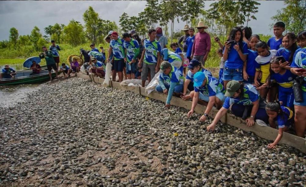 Nhamundá devolve mais de 70 mil filhotes de quelônios à natureza