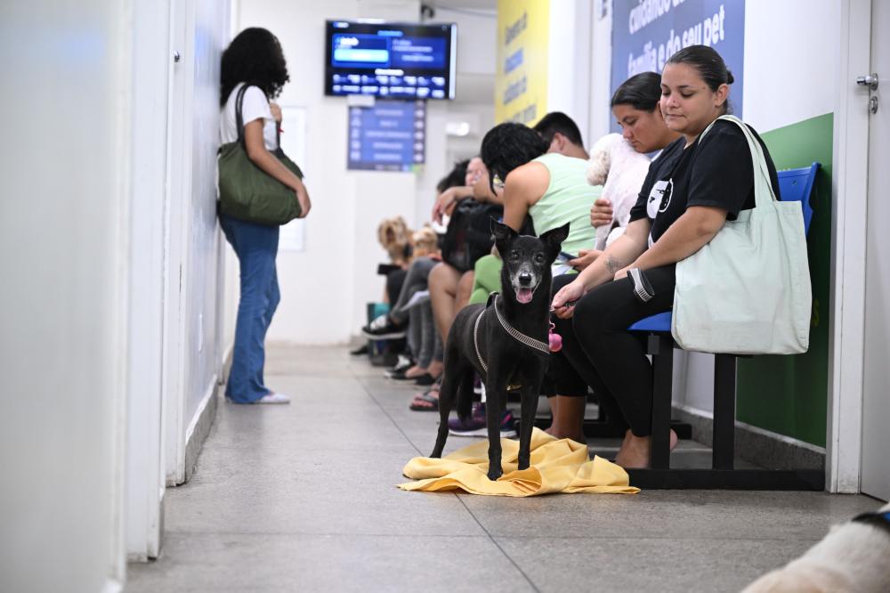 Hospital Público Veterinário do Amazonas supera 26 mil animais atendidos em cinco meses