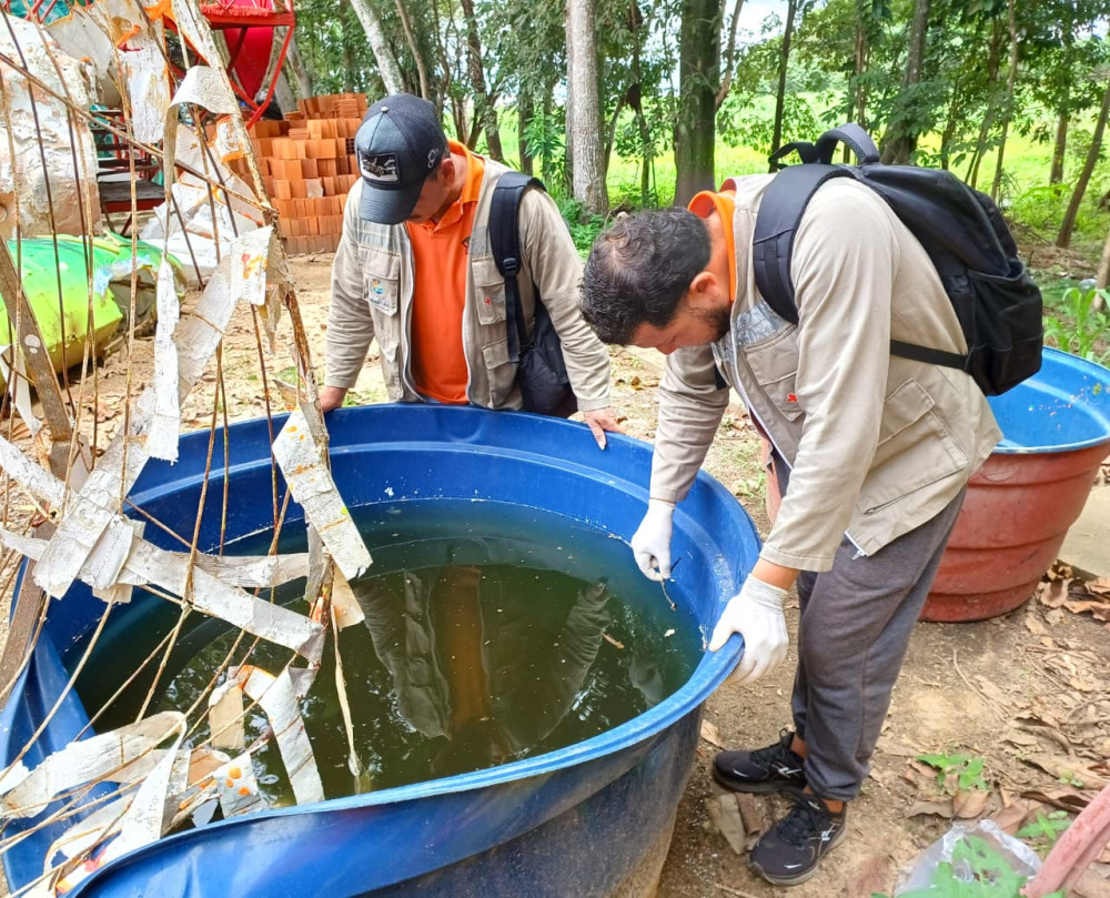 Parintins intensifica fiscalização em pontos estratégicos contra dengue, zika e chikungunya