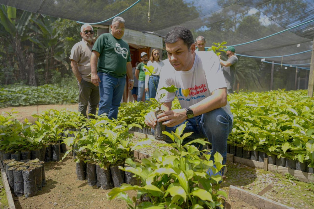 Saullo Vianna reforça apoio a produtores de café em Presidente Figueiredo