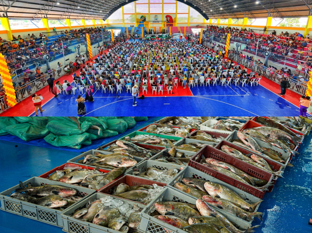 Prefeitura de Parintins distribui 30 toneladas de pescado e beneficia mais de 4 mil famílias