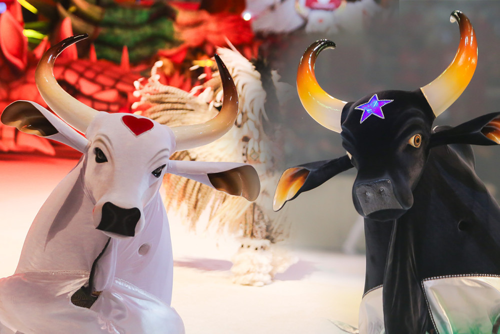 Globo aposta no Boi-Bumbá e leva rivalidade de Caprichoso e Garantido para novela das sete