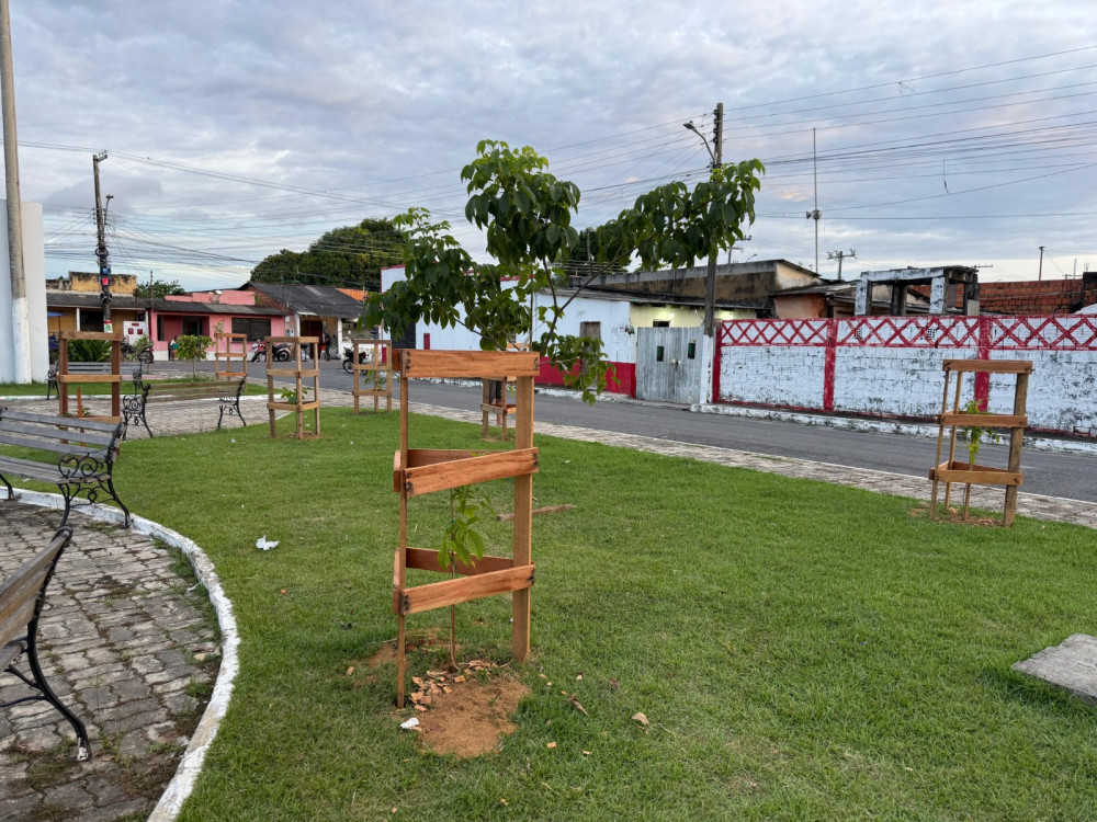 Parintins planta 700 mudas e amplia áreas verdes na cidade e zona rural